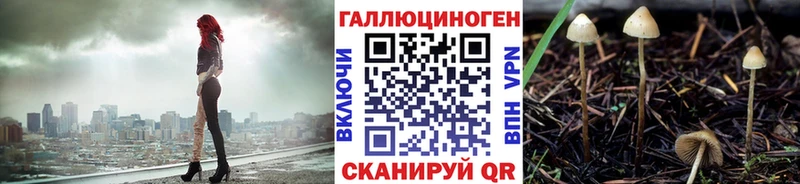 дарнет шоп  Краснознаменск  Псилоцибиновые грибы прущие грибы 
