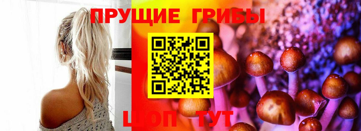 Псилоцибиновые грибы прущие грибы Краснознаменск